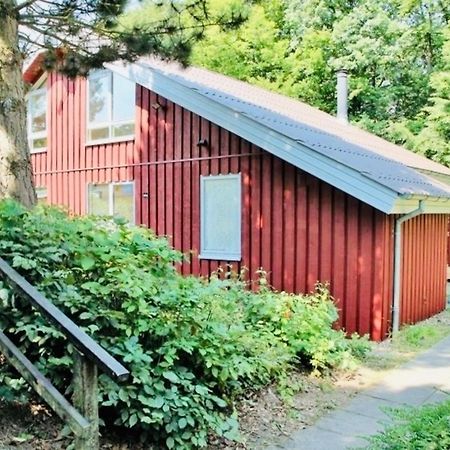 Komfort-Ferienhaus - Extertal Ferienpark - Entspannung, Natur, Wald, Familie #51 Extérieur photo